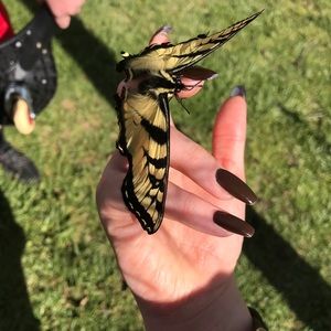 Meet your Posher, Michelle